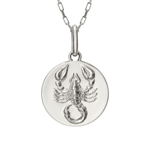 Scorpion necklace scorpio // silver