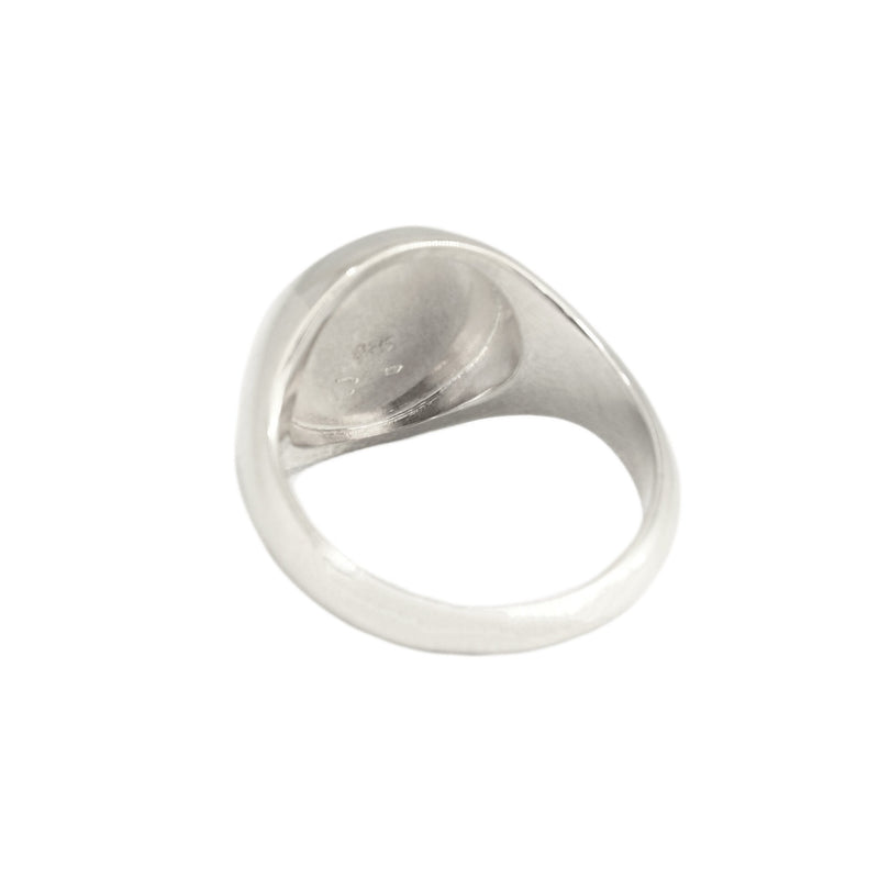 Signet ring aquarius // Silver