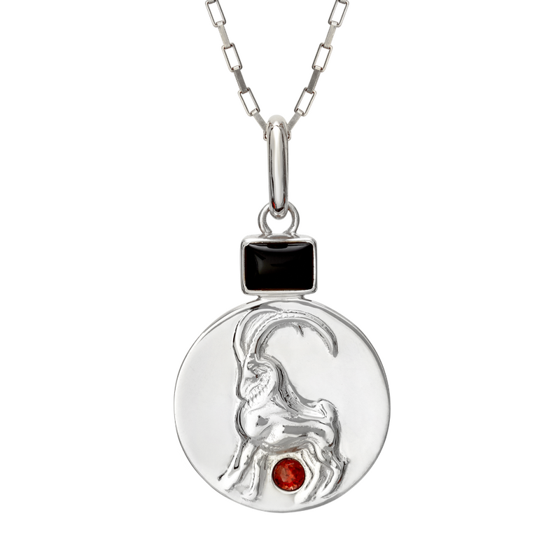 Capricorn Coin Pendant Necklace // Silver