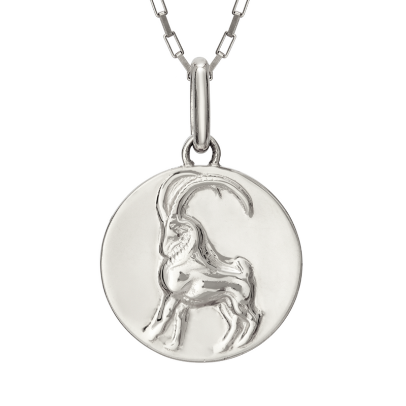 apricorn coin pendant necklace // silver