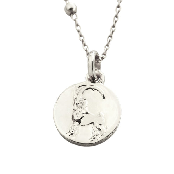 capricorn dainty necklace // silver