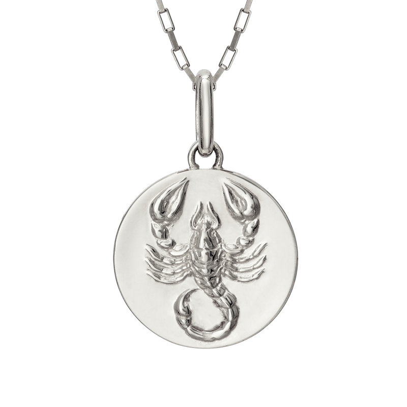 Scorpion necklace scorpio // silver