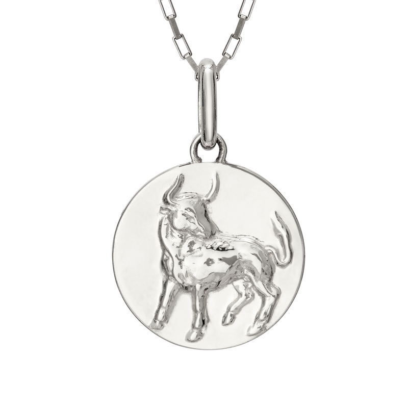 bull necklace taurus // silver